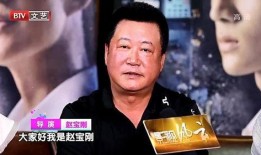 刘棱爆料赵宝刚视频播放,刘棱揭露赵宝刚视频播放背后真相